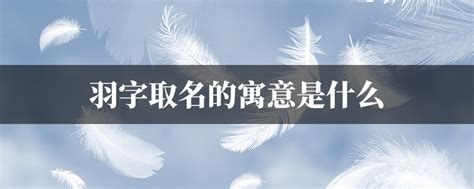 名字有羽|羽字取名的寓意是什么？带羽字的古风唯美名字推荐